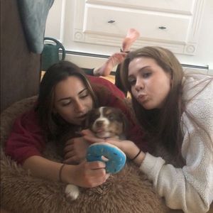 Meet your Posher, Jordan